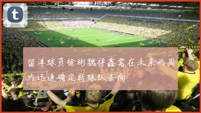 留洋球员徐彬魏祥鑫需在未来两周内迅速确定新球队去向